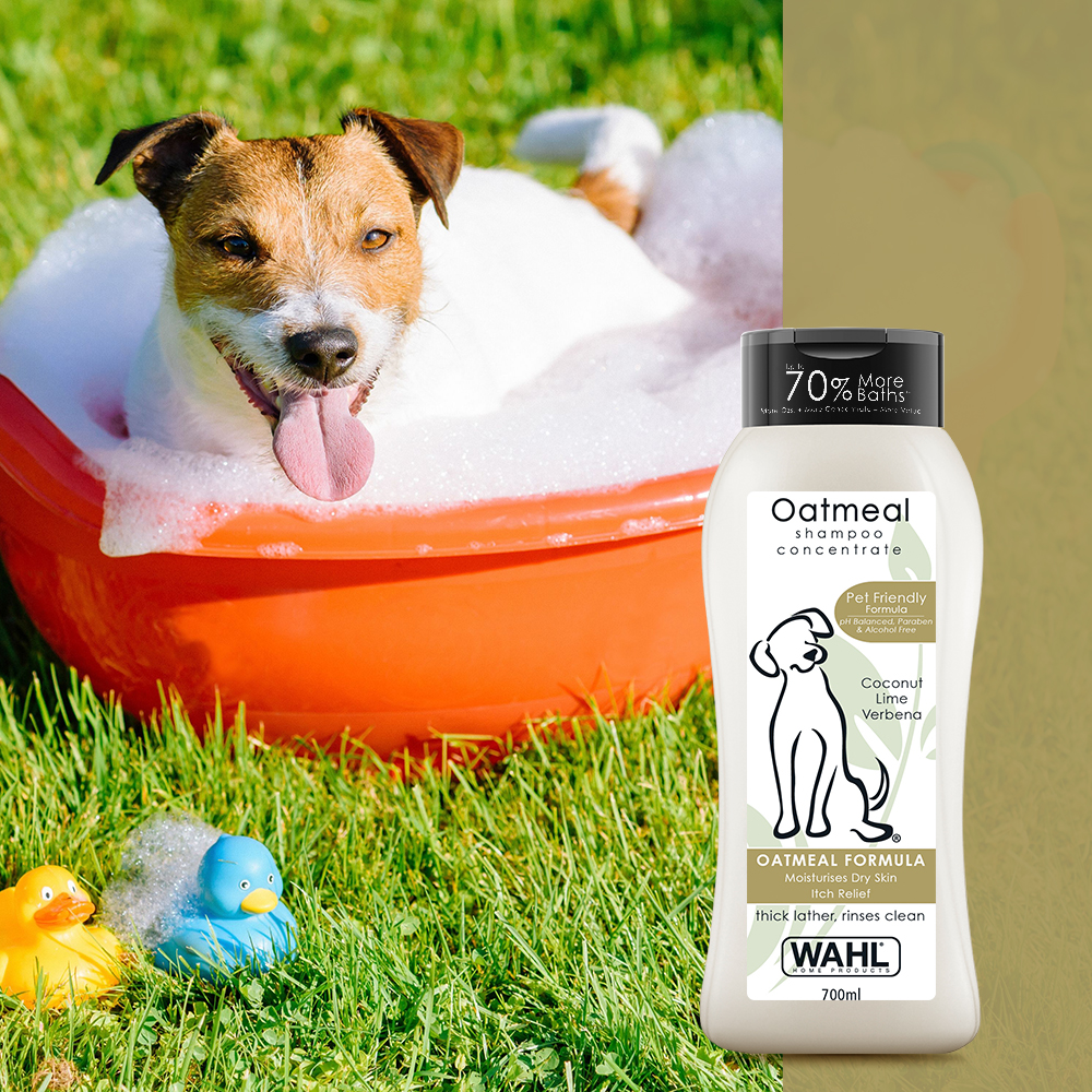 Wahl oatmeal 2024 dog shampoo